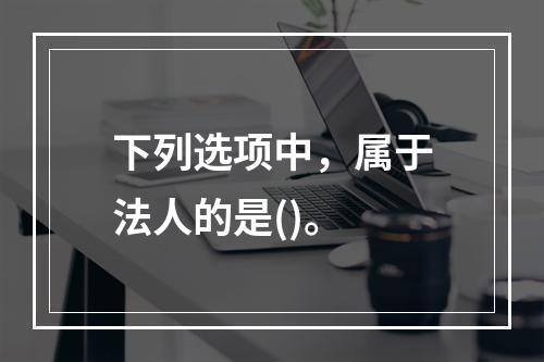 下列选项中，属于法人的是()。