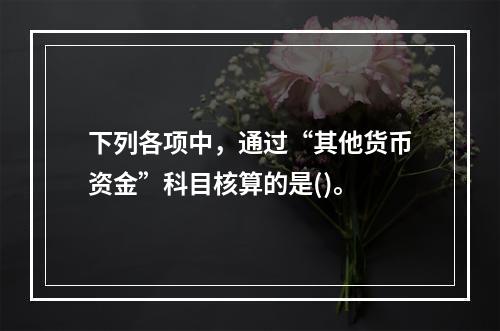 下列各项中，通过“其他货币资金”科目核算的是()。