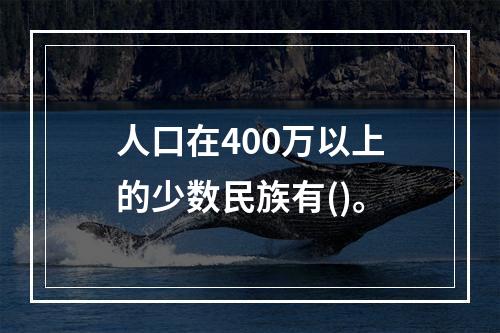 人口在400万以上的少数民族有()。