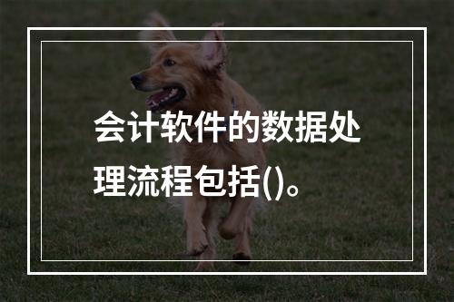 会计软件的数据处理流程包括()。