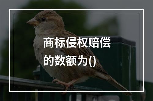 商标侵权赔偿的数额为()