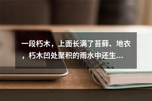 一段朽木，上面长满了苔藓、地衣，朽木凹处聚积的雨水中还生活着