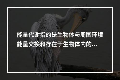 能量代谢指的是生物体与周围环境能量交换和存在于生物体内的物质