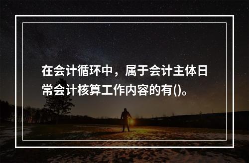 在会计循环中，属于会计主体日常会计核算工作内容的有()。