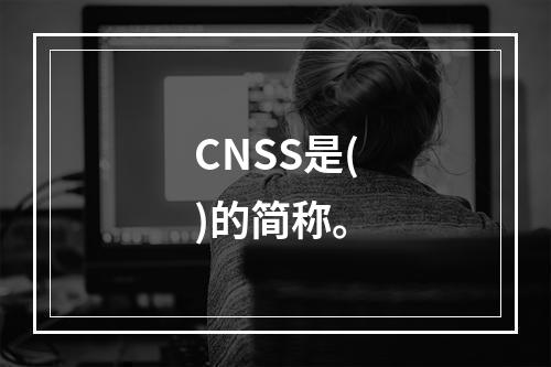 CNSS是()的简称。