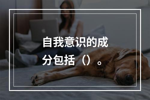 自我意识的成分包括（）。