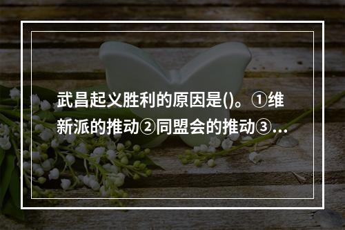 武昌起义胜利的原因是()。①维新派的推动②同盟会的推动③三民