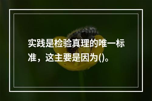 实践是检验真理的唯一标准，这主要是因为()。