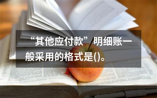 “其他应付款”明细账一般采用的格式是()。