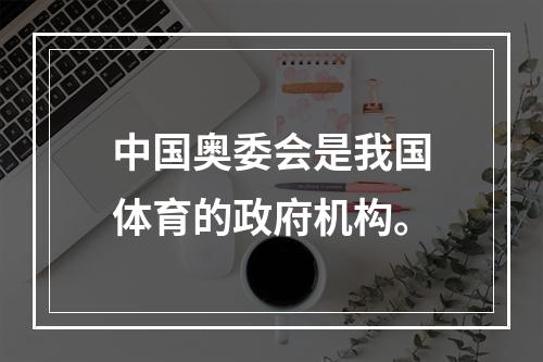 中国奥委会是我国体育的政府机构。