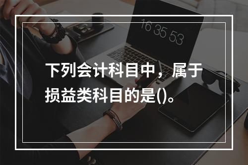 下列会计科目中，属于损益类科目的是()。