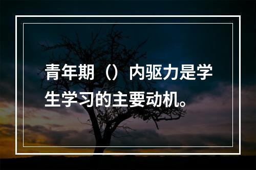 青年期（）内驱力是学生学习的主要动机。