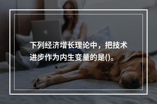 下列经济增长理论中，把技术进步作为内生变量的是()。