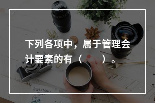 下列各项中，属于管理会计要素的有（　　）。