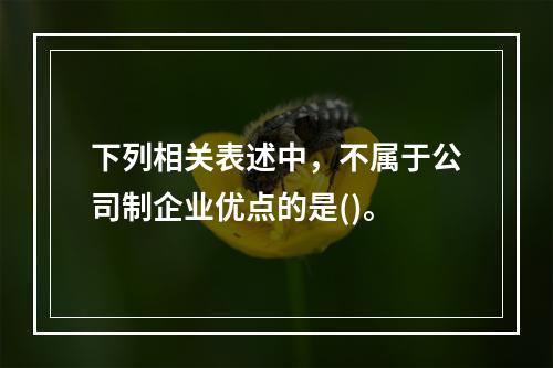 下列相关表述中，不属于公司制企业优点的是()。