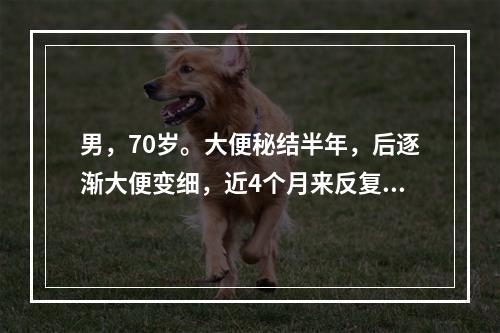 男，70岁。大便秘结半年，后逐渐大便变细，近4个月来反复脓血