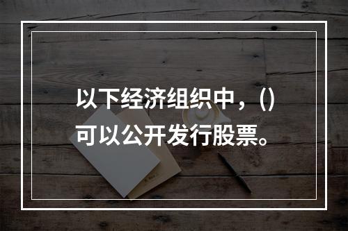 以下经济组织中，()可以公开发行股票。