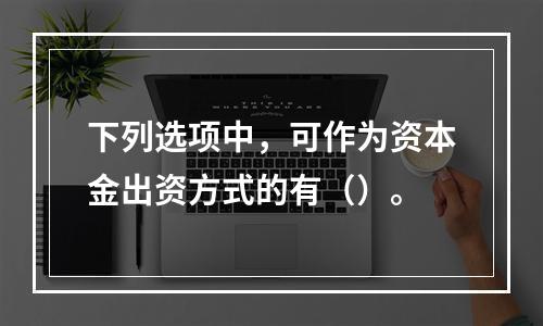 下列选项中，可作为资本金出资方式的有（）。