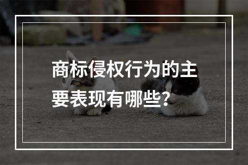 商标侵权行为的主要表现有哪些？