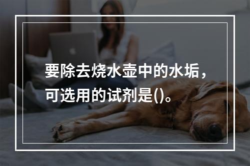 要除去烧水壶中的水垢，可选用的试剂是()。