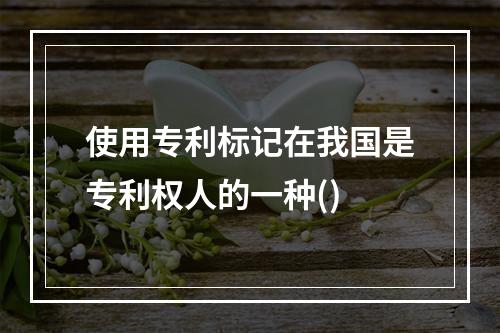 使用专利标记在我国是专利权人的一种()