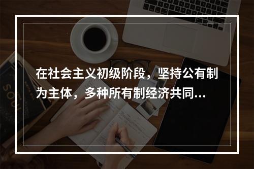 在社会主义初级阶段，坚持公有制为主体，多种所有制经济共同发展