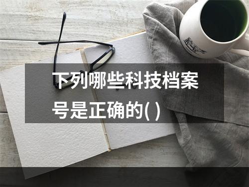 下列哪些科技档案号是正确的( )