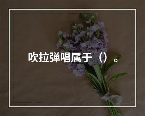 吹拉弹唱属于（）。