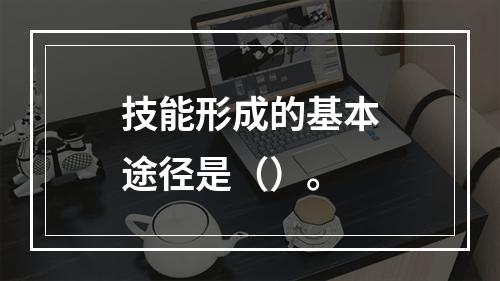 技能形成的基本途径是（）。