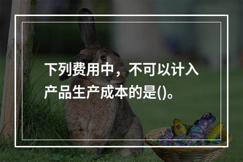 下列费用中，不可以计入产品生产成本的是()。