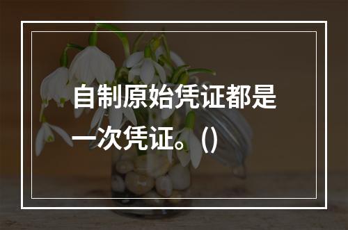 自制原始凭证都是一次凭证。()