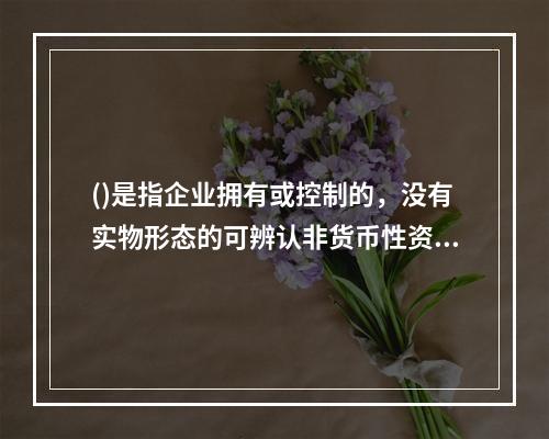 ()是指企业拥有或控制的，没有实物形态的可辨认非货币性资产。