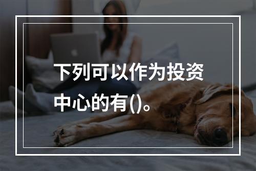 下列可以作为投资中心的有()。