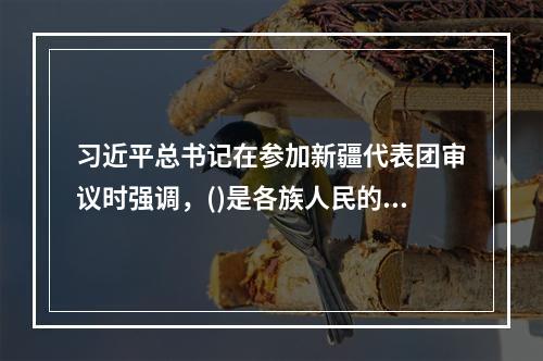 习近平总书记在参加新疆代表团审议时强调，()是各族人民的生命