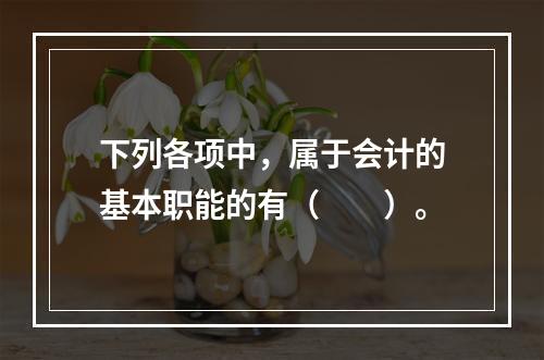 下列各项中，属于会计的基本职能的有（　　）。