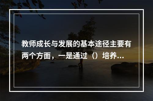 教师成长与发展的基本途径主要有两个方面，一是通过（）培养新教