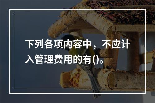 下列各项内容中，不应计入管理费用的有()。