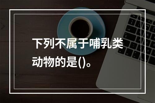 下列不属于哺乳类动物的是()。