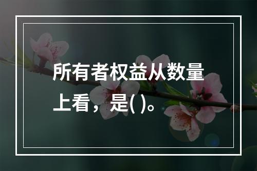 所有者权益从数量上看，是( )。