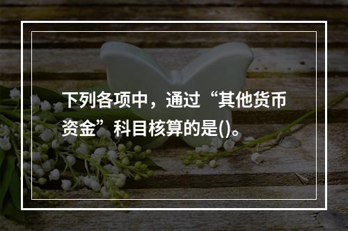 下列各项中，通过“其他货币资金”科目核算的是()。