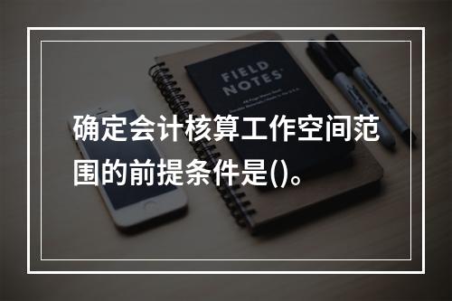 确定会计核算工作空间范围的前提条件是()。