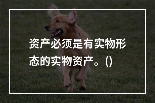 资产必须是有实物形态的实物资产。()