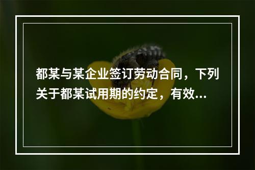 都某与某企业签订劳动合同，下列关于都某试用期的约定，有效的是