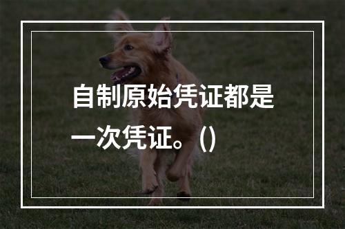 自制原始凭证都是一次凭证。()