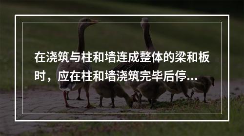 在浇筑与柱和墙连成整体的梁和板时，应在柱和墙浇筑完毕后停歇（