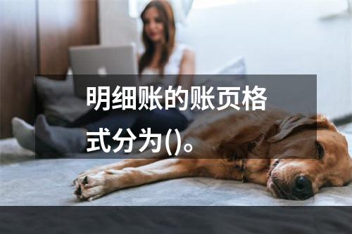 明细账的账页格式分为()。