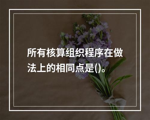 所有核算组织程序在做法上的相同点是()。