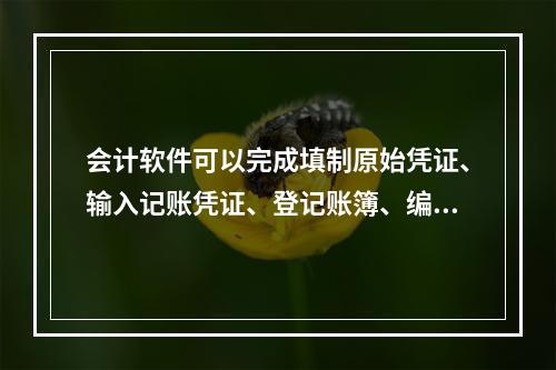 会计软件可以完成填制原始凭证、输入记账凭证、登记账簿、编制报