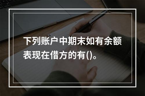 下列账户中期末如有余额表现在借方的有()。