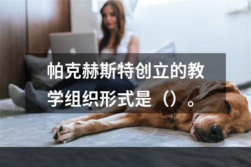 帕克赫斯特创立的教学组织形式是（）。